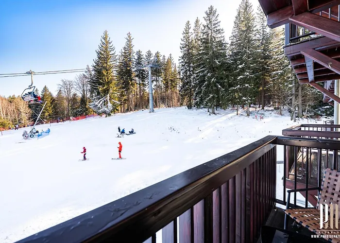 Apartament Lola 17 *